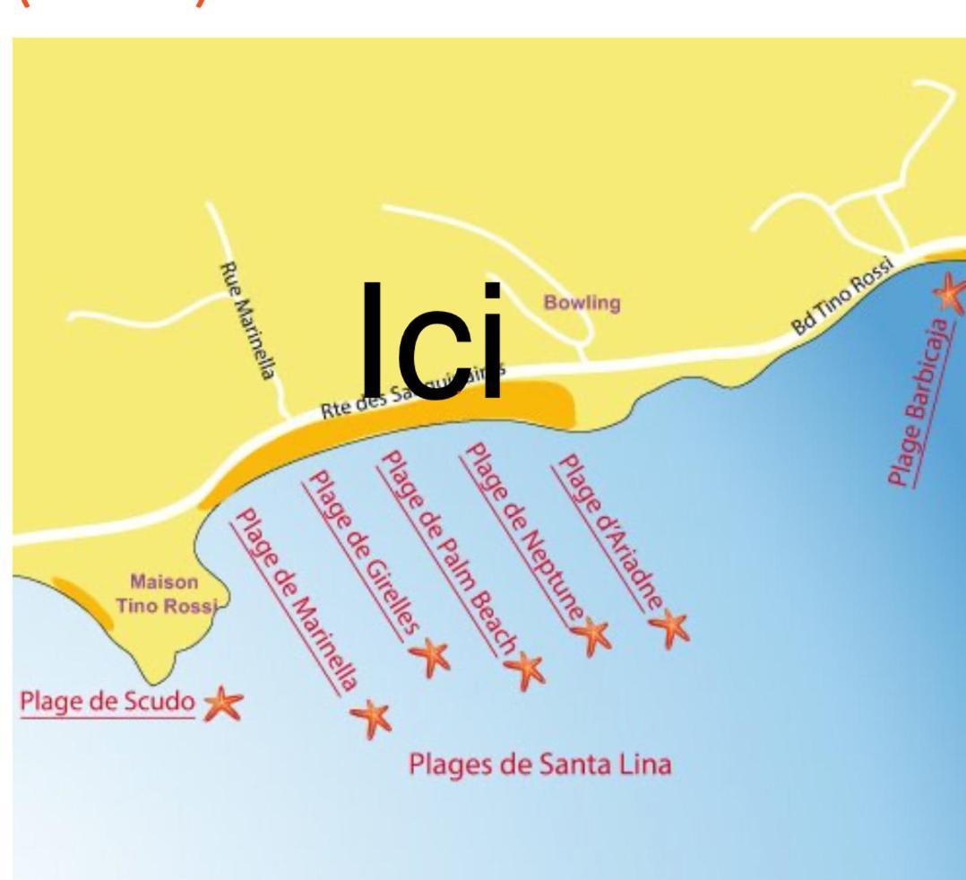 Superbe Pieds Dans L Eau Ajaccio Face A La Mer Plage De Sable Fin Route Des Iles Des Sanguinaires Luaran gambar
